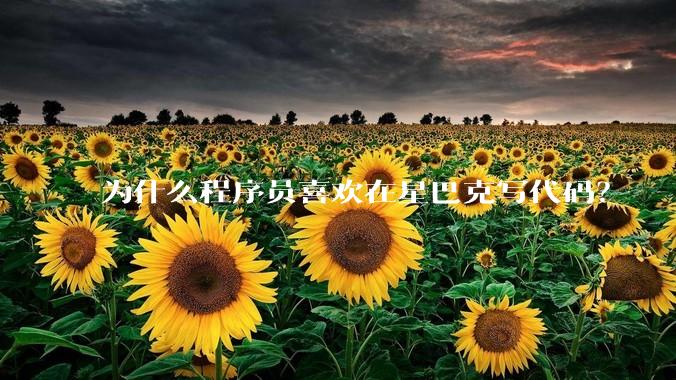 为什么程序员喜欢在星巴克写代码？