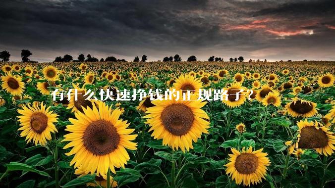 有什么快速挣钱的正规路子？