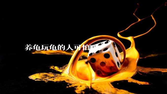 养龟玩龟的人可怕吗？